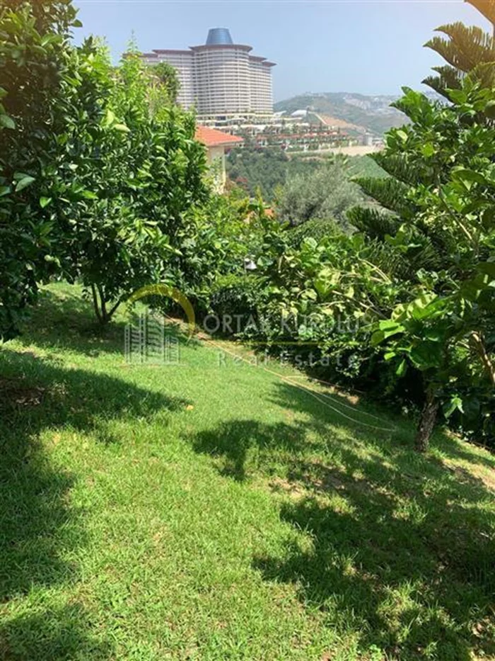 property for sale Kargıcak - photo 11