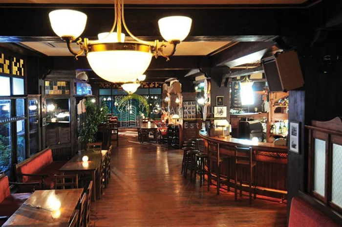 property for sale Kargıcak - photo 31