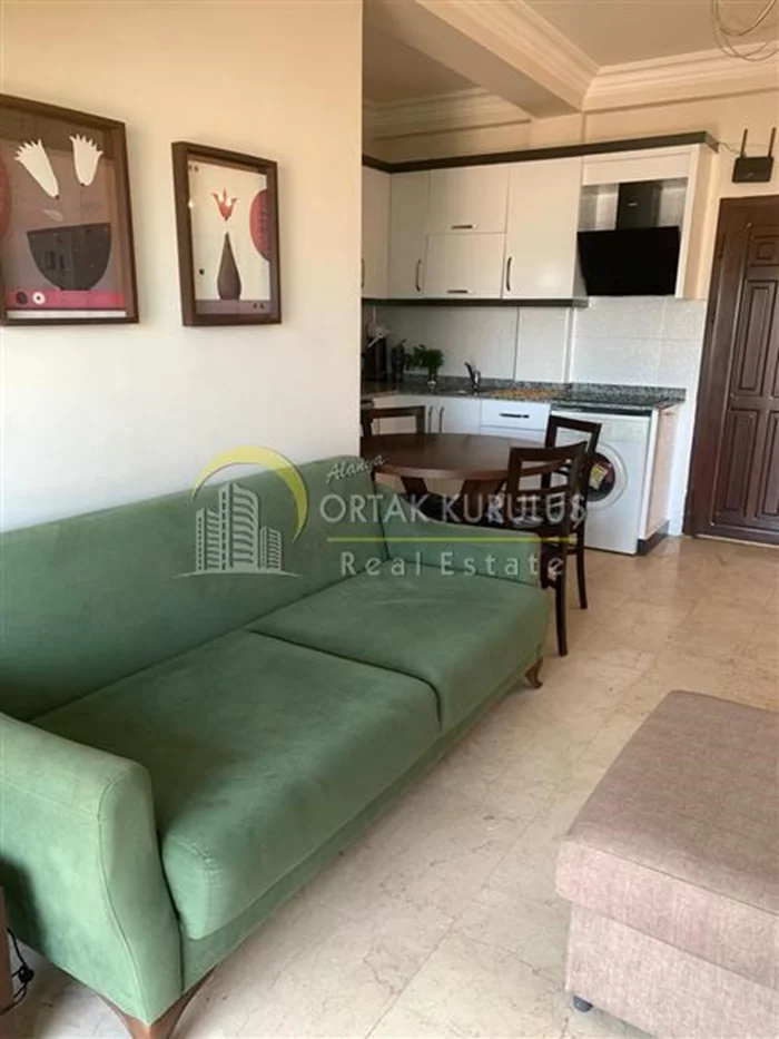 property for sale Kargıcak - photo 32