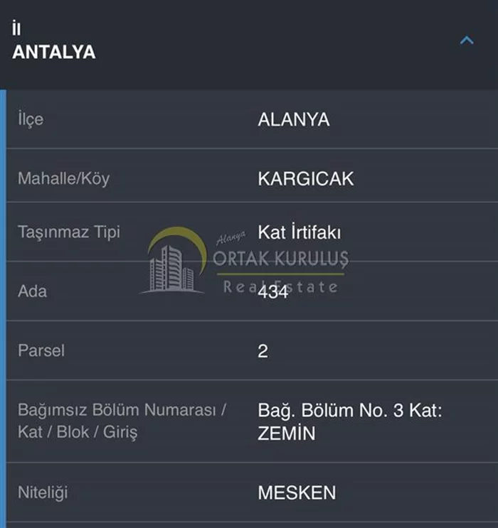 property for sale Kargıcak - photo 15