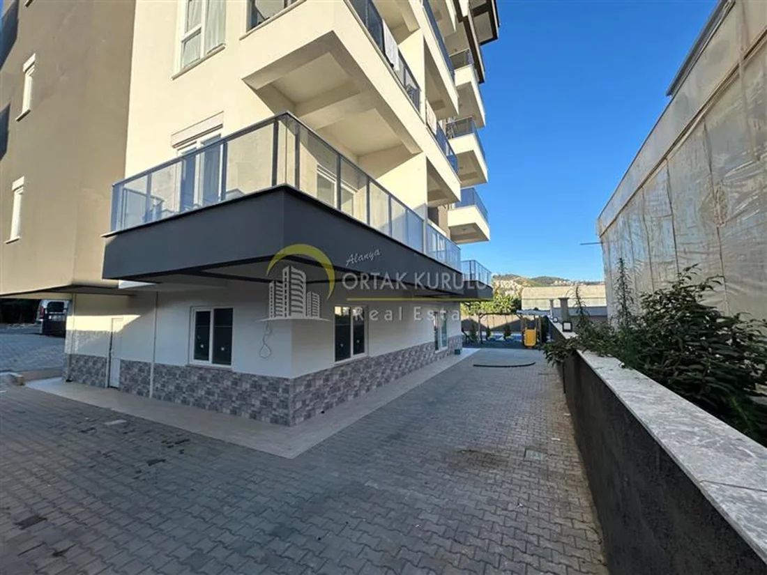 property for sale Kargıcak - photo 3