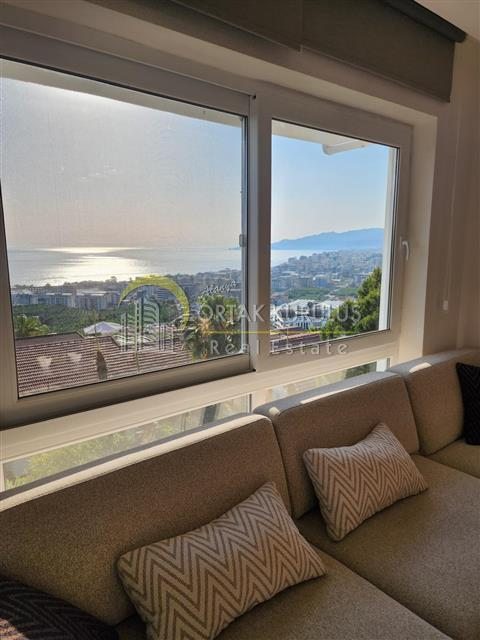 property for sale Kargıcak 75782