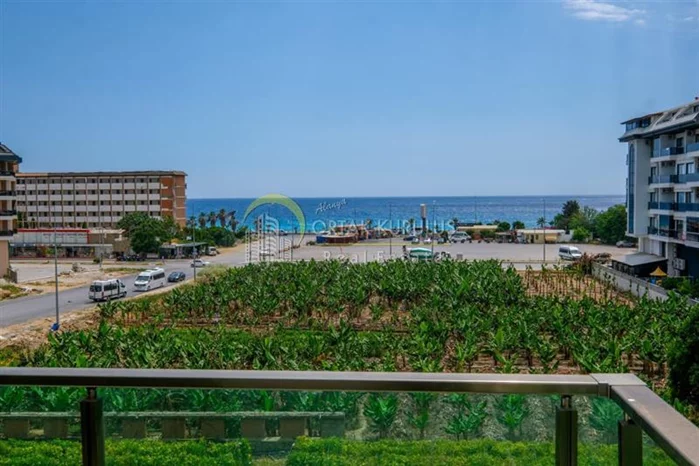 property for sale Kargıcak - photo 27