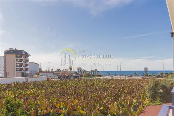 property for sale Kargıcak - photo 10