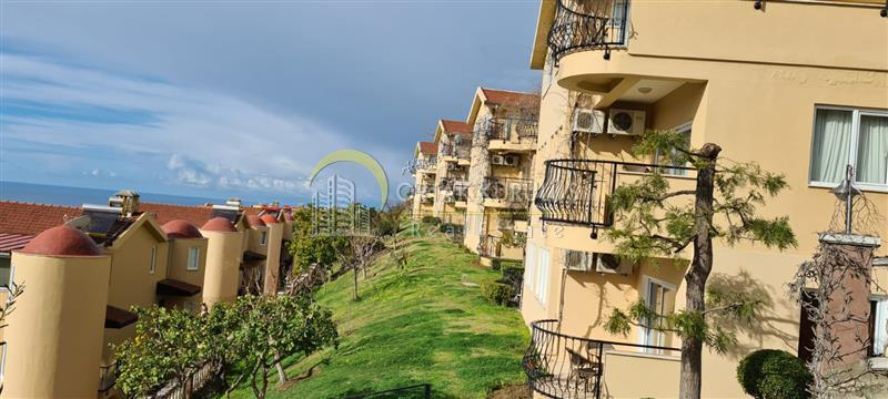 property for sale Kargıcak 78288