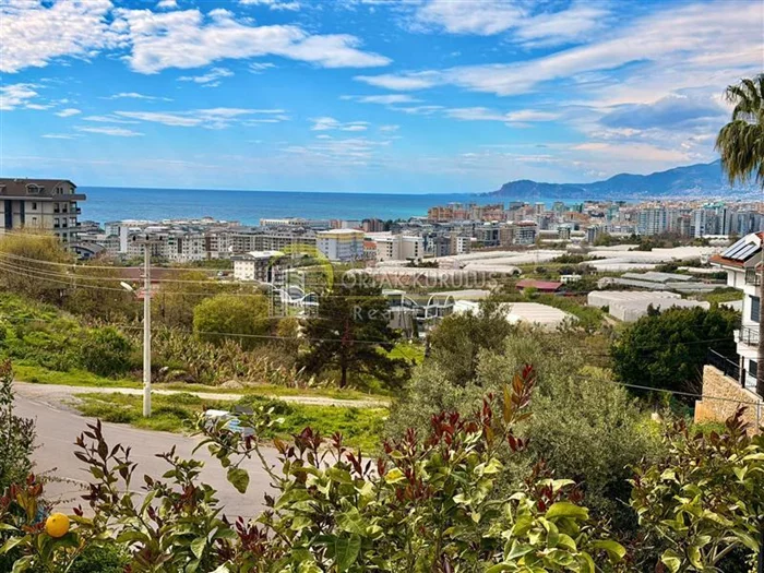 property for sale Kargıcak - photo 8