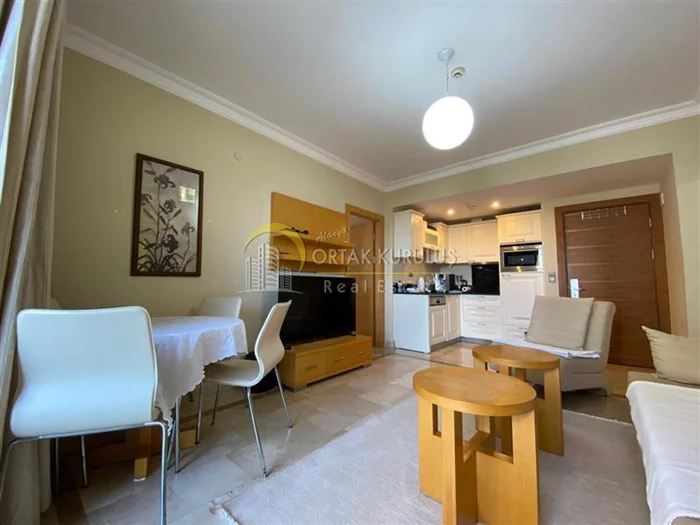 property for sale Kargıcak - photo 35