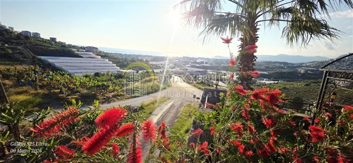 property for sale Kargıcak - photo 12