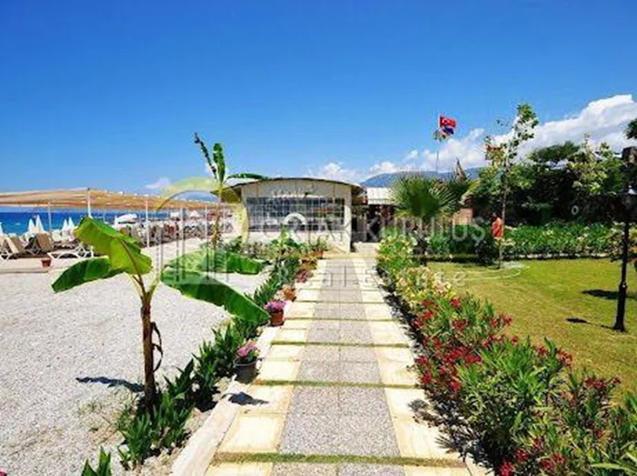 property for sale Kargıcak - photo 9