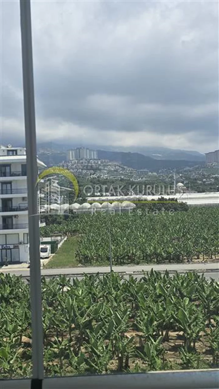 property for sale Kargıcak - photo 7