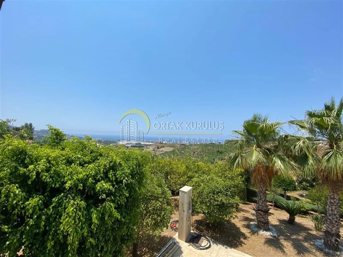 property for sale Kargıcak - photo 3