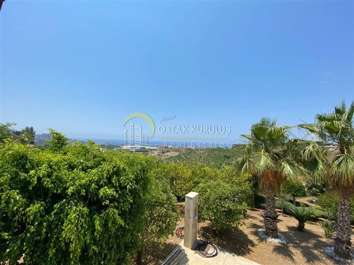 property for sale Kargıcak - photo 3