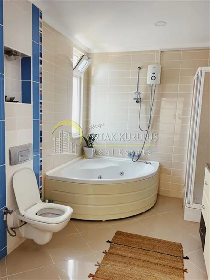property for sale Kargıcak - photo 43