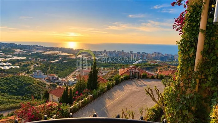 property for sale Kargıcak - photo 13