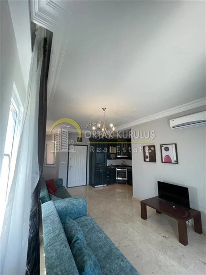 property for sale Kargıcak - photo 30