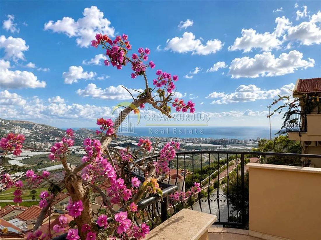 property for sale Kargıcak - photo 28