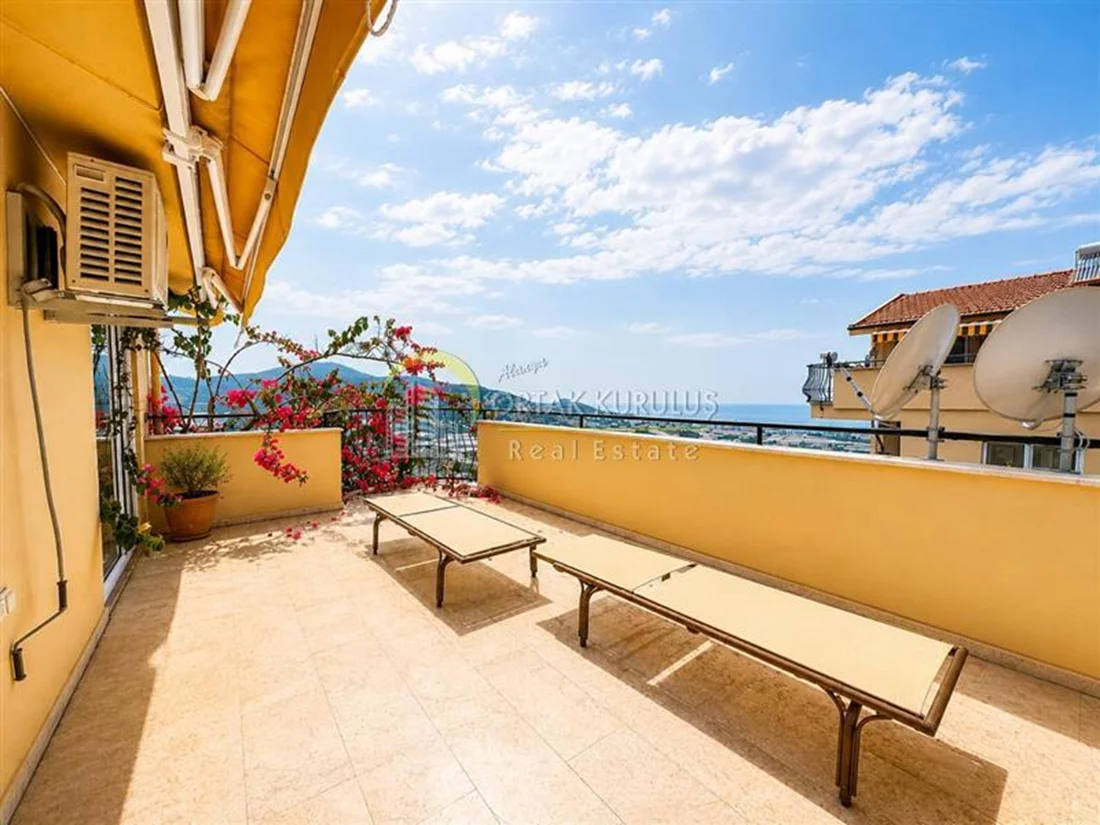 property for sale Kargıcak - photo 18