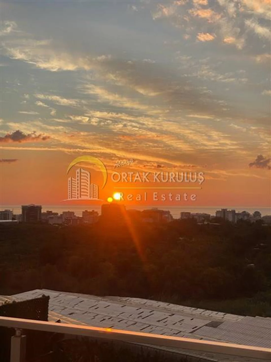 property for sale Kargıcak - photo 14