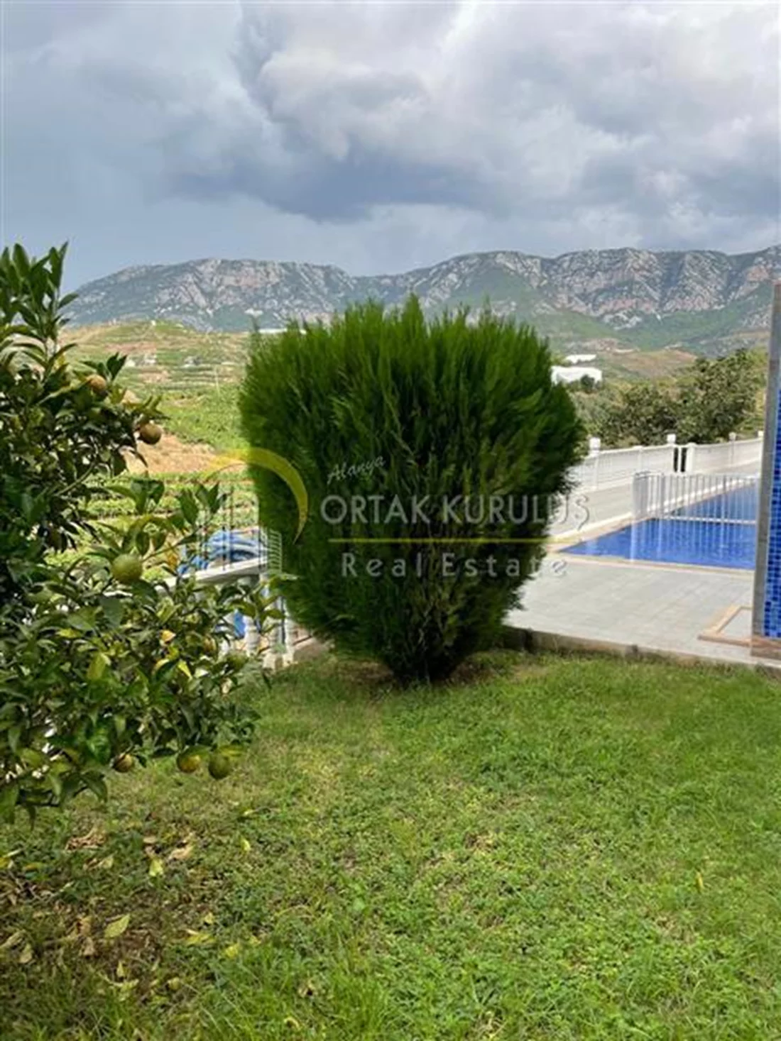 property for sale Kargıcak - photo 8