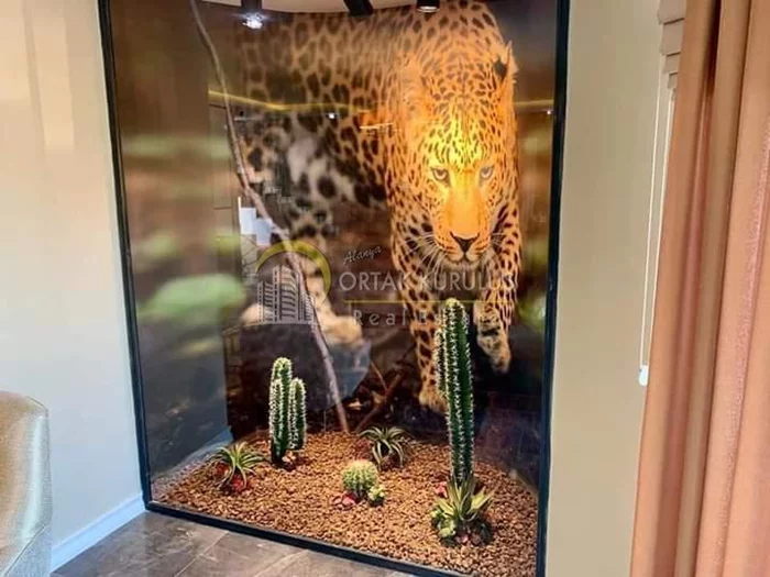 property for sale Kargıcak - photo 17