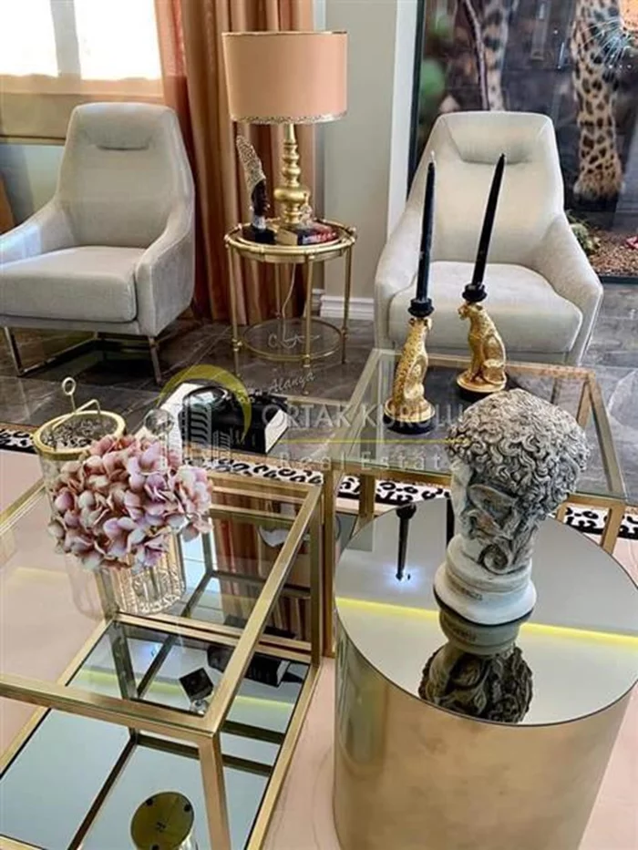 property for sale Kargıcak - photo 44