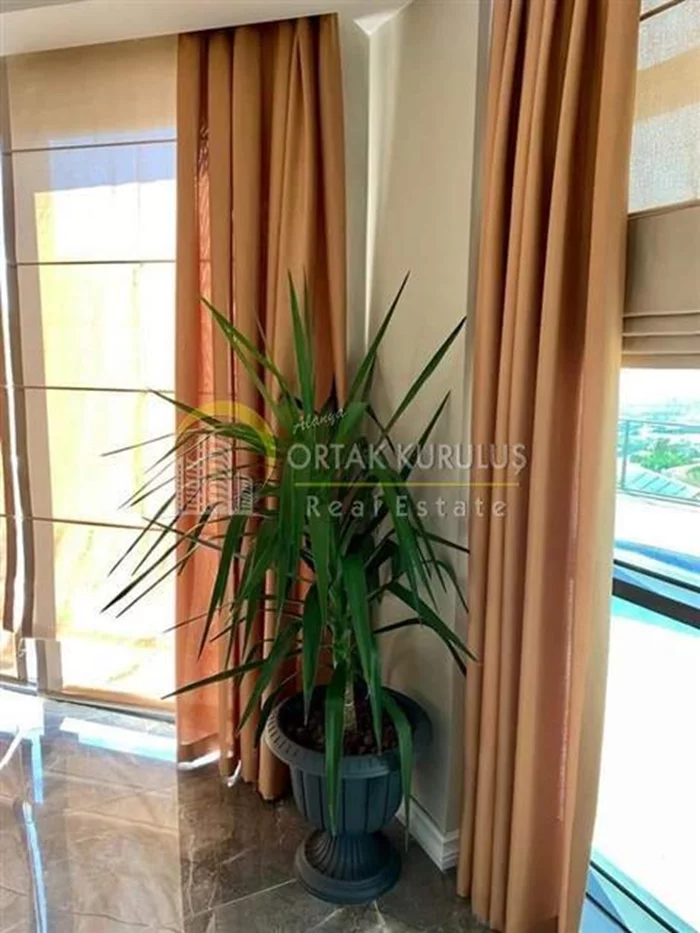 property for sale Kargıcak - photo 52