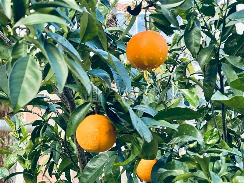 property for sale Mahmutlar 76170