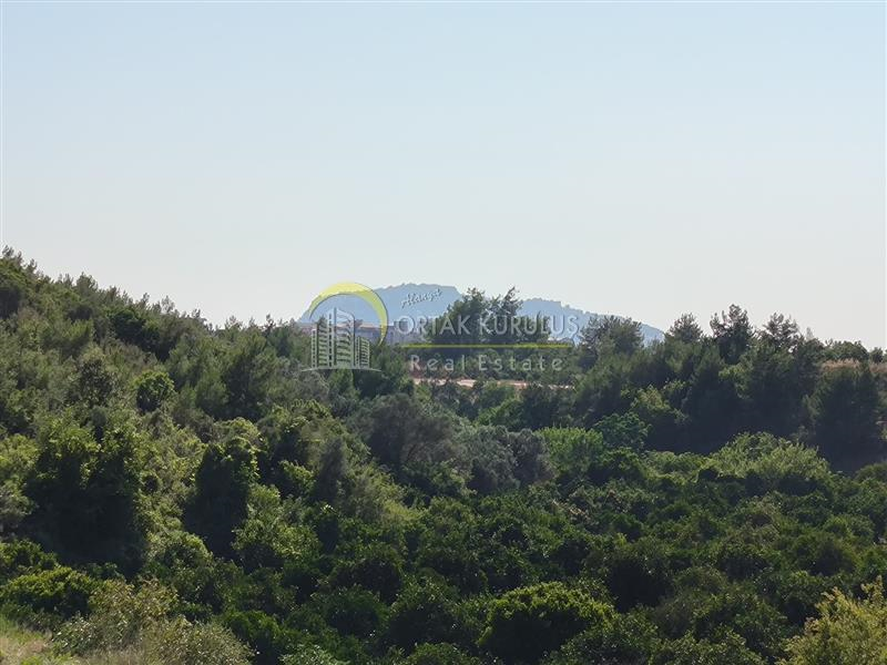 property for sale Oba 70929