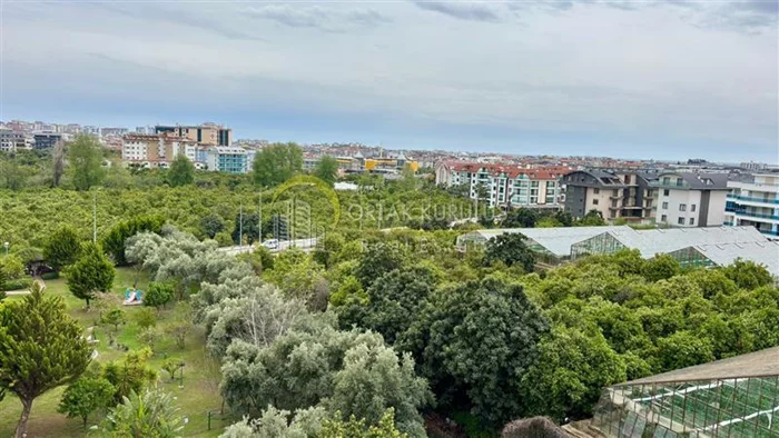 property for sale Oba - photo 18