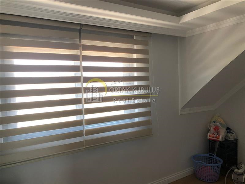 thumbnail 41