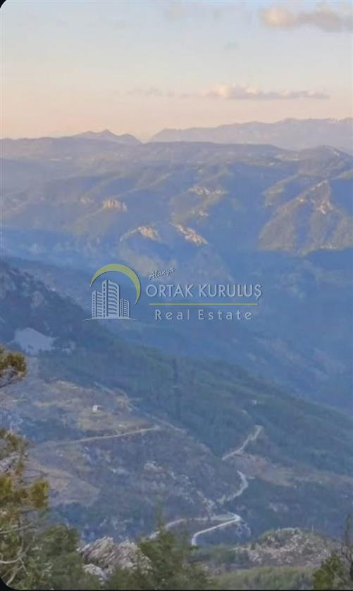 For sale: Investment Land in Alanya Bayır Kozağacı