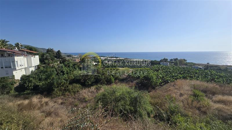 Alanya Demirtaş Keşifli Satılık Arsa | Denize Sıfır 1.557 m² Villa İmarlı