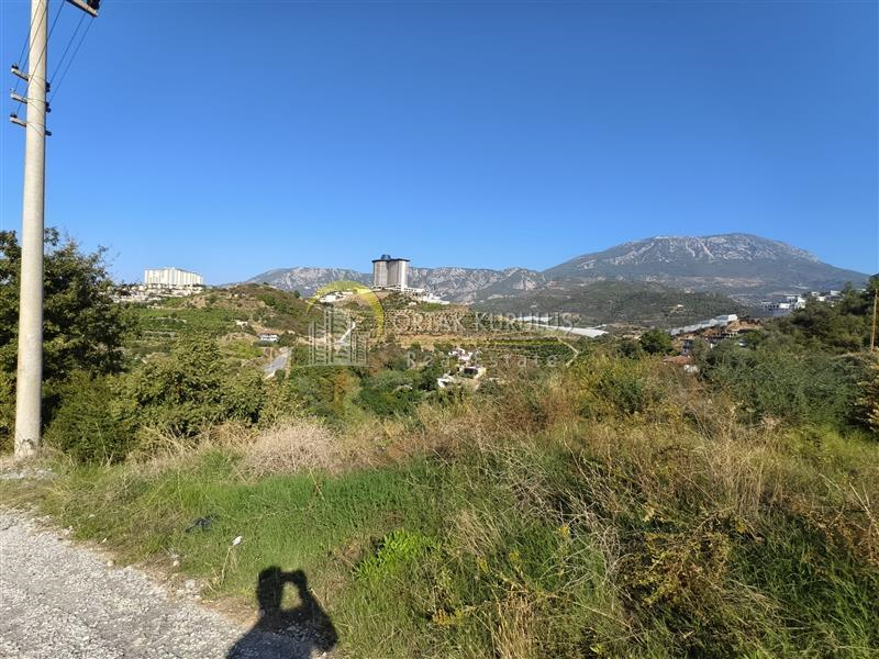 Alanya Kargıcak Satılık 513 m² Villa Arsası – Tek Tapu İmarlı